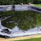 Pool Tip - How To Clear Up A Green Pool